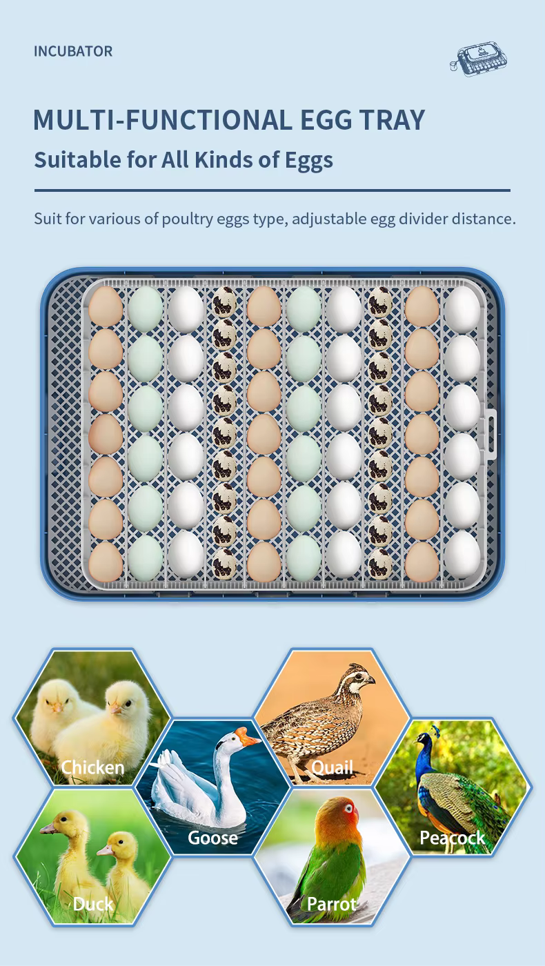WONEGG Fully Automatic 70 Hatching Duck Eggs Solar Incubator Complete Set — image 4