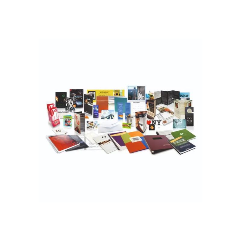 Automatic Two Color Offset Printing Machine — image 4