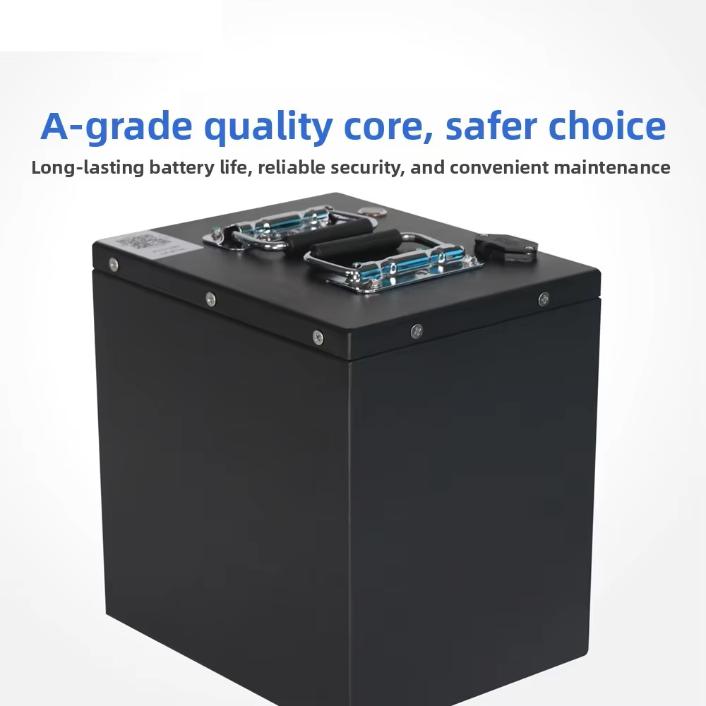OEM 48V Lithium Battery Pack — image 2
