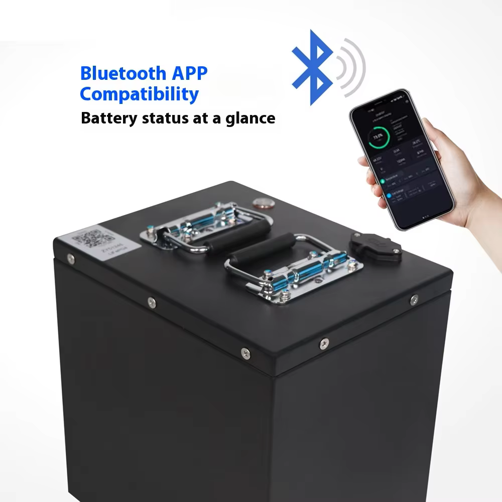 OEM 48V Lithium Battery Pack — image 3