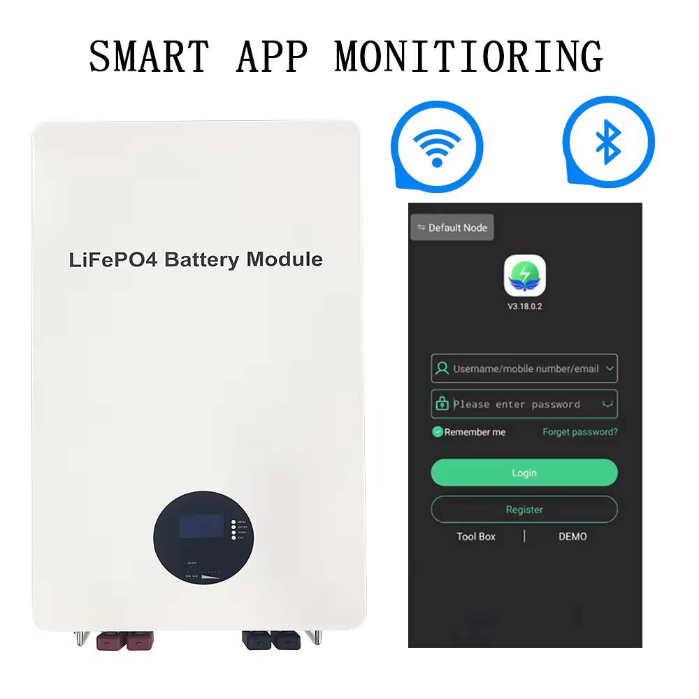 SMS 51.2V 200Ah LiFePO4 Battery — image 4