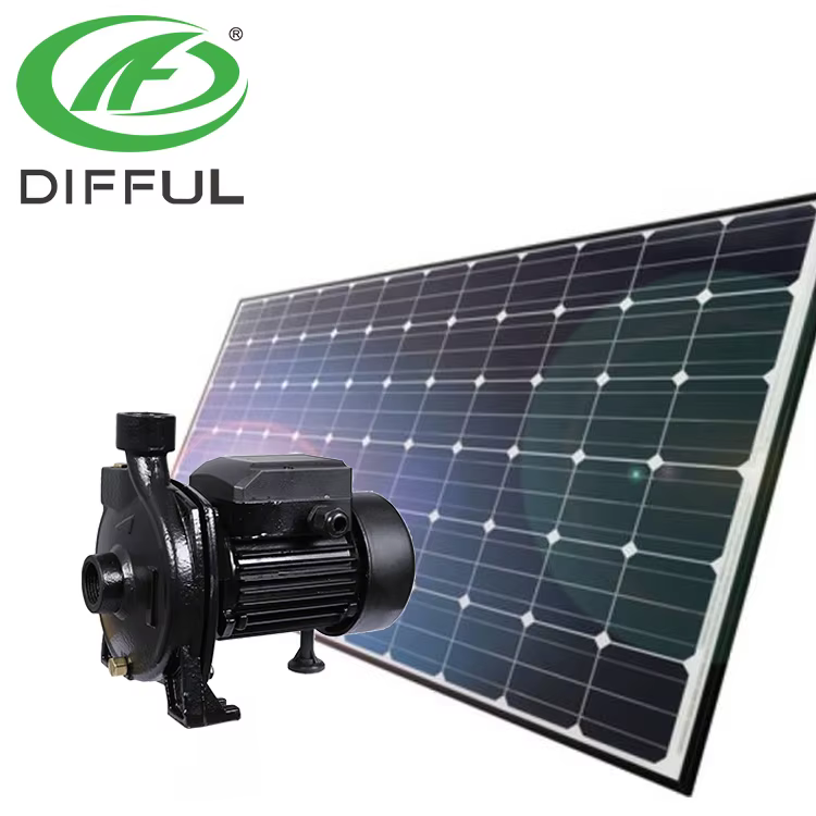 DIFFUL Cpm Water Pump Solar DC Surface Water Pump — image 4