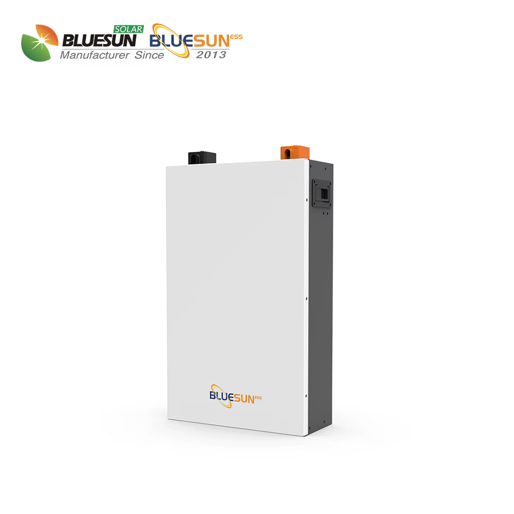 Bluesun Deep Cycle 51.2V 100Ah Lithium Battery — image 2