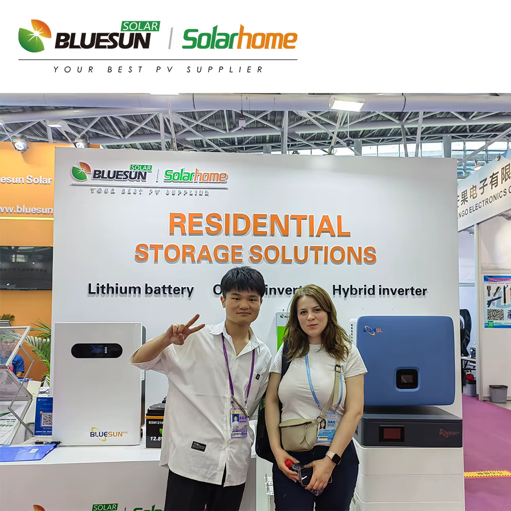 Bluesun 10KW Hybrid Inverter — image 5