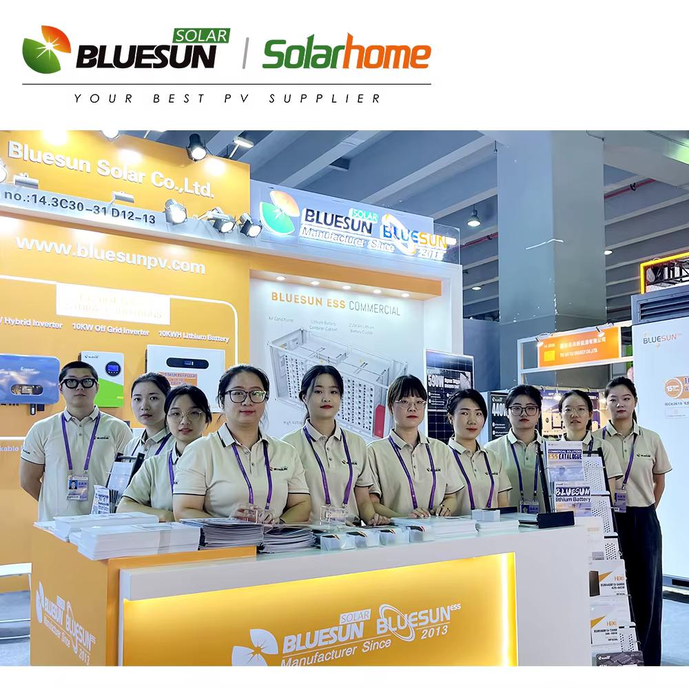 Bluesun 10KW Hybrid Inverter — image 6