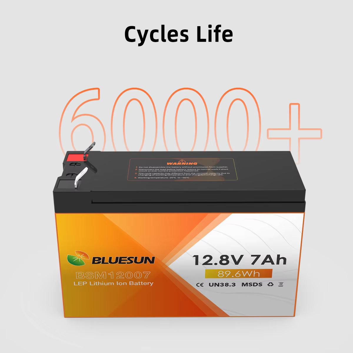 Bluesun Solar Energy Storage System Lifepo4 Battery — image 6