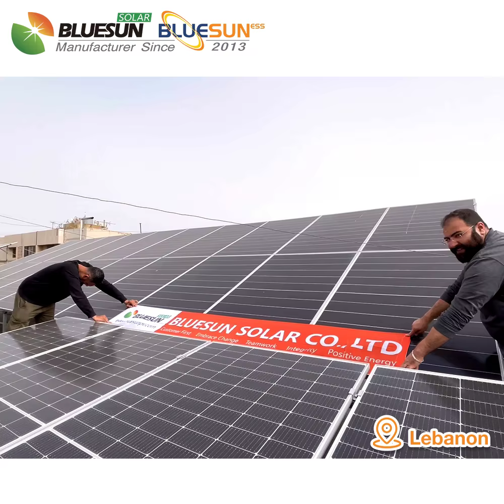 Bluesun 3 Phase Hybrid Solar Inverter 10kw 12kw 220v — image 4