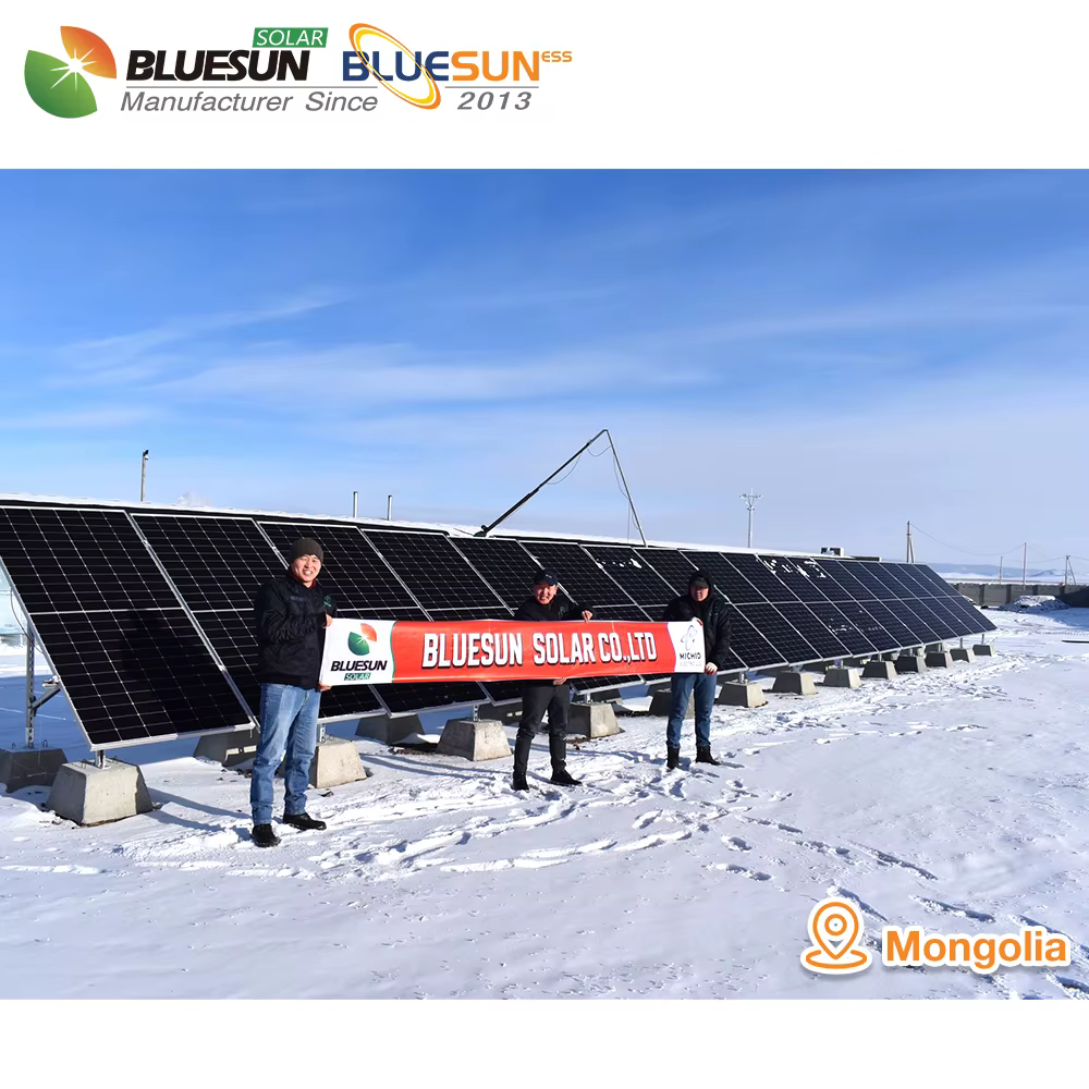 Bluesun 3 Phase Hybrid Solar Inverter 10kw 12kw 220v — image 5