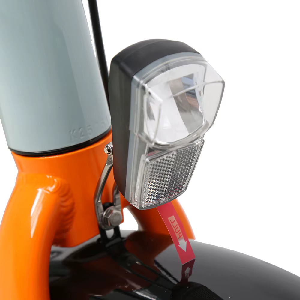 TXED 7 Speeds Electric Cargo Bike — image 4