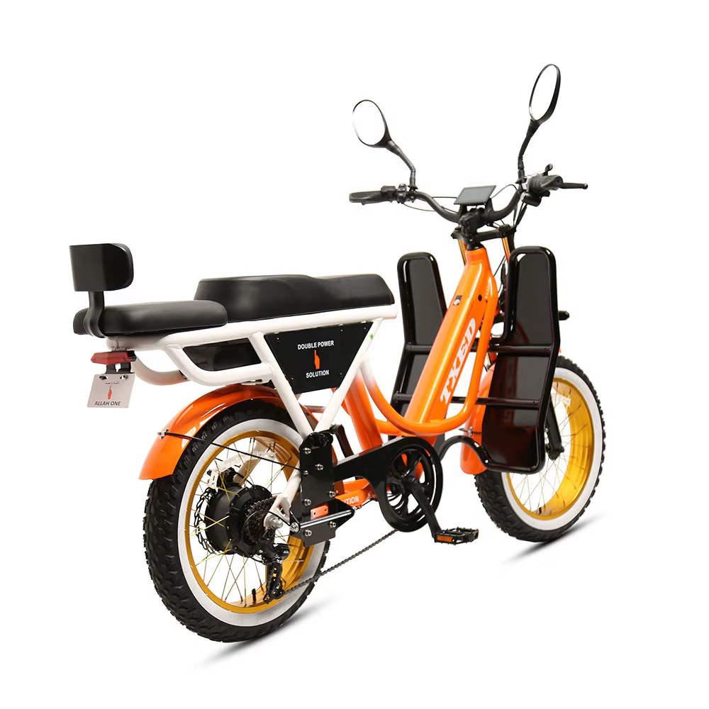 TXED 250W 48V Rear Hub Electric Motorcycle — image 2
