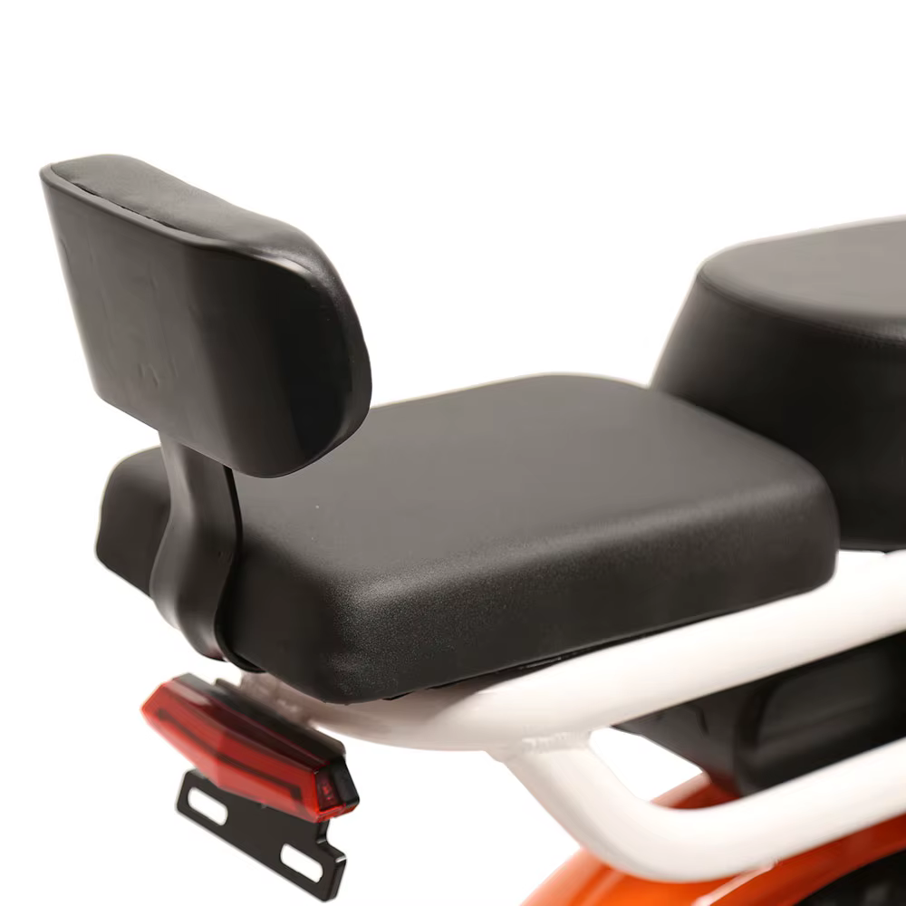 TXED 250W 48V Rear Hub Electric Motorcycle — image 6