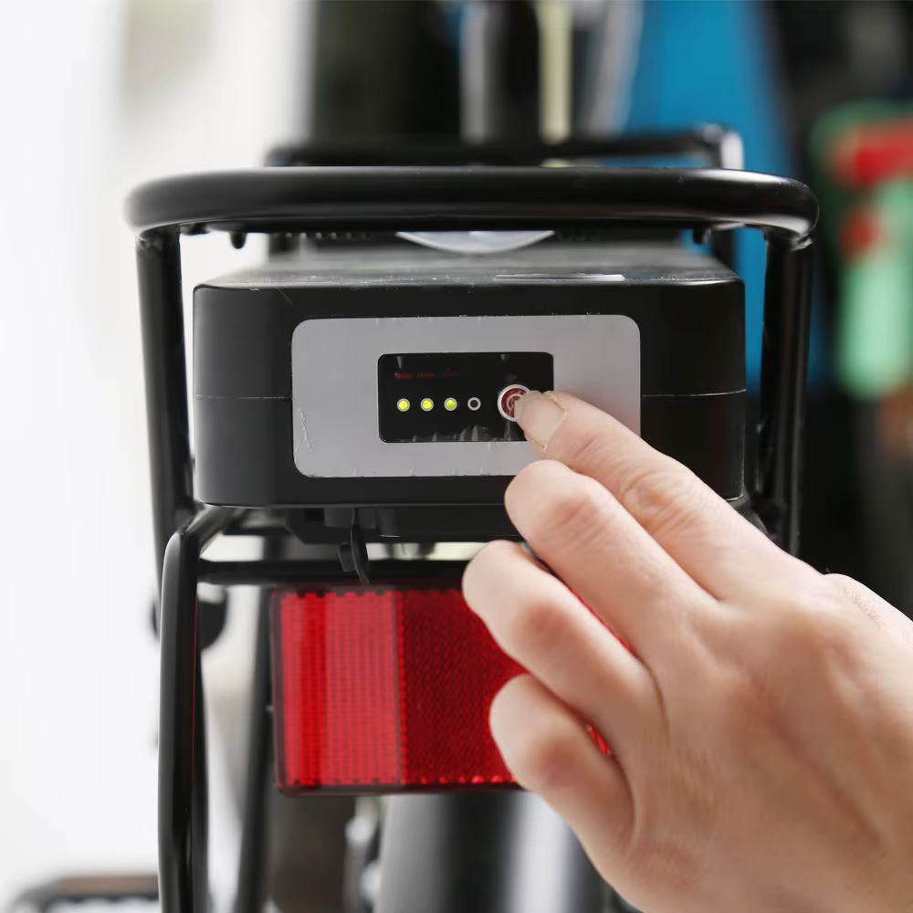 TXED 250W 36V Electric City Bike — image 6