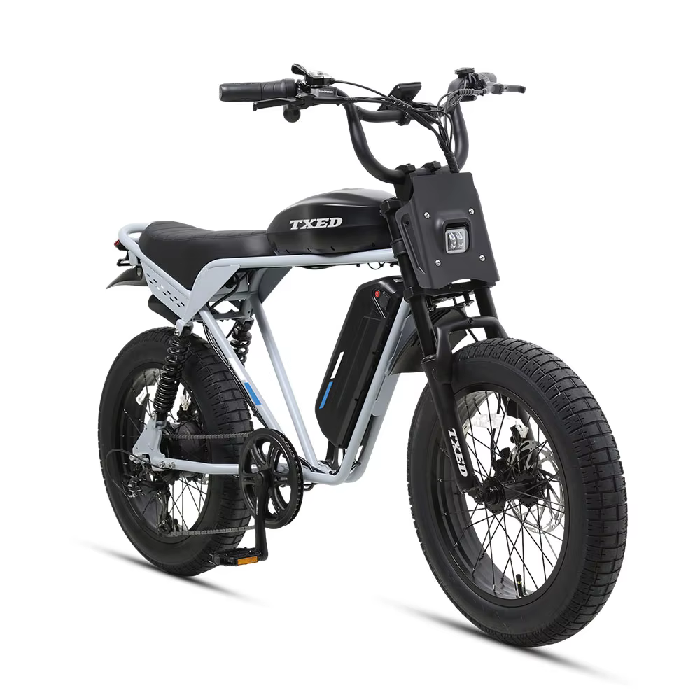 TXED High Quality Popular 48V/750W Rear Hub Motor Electric Motorcycle Bike — image 2