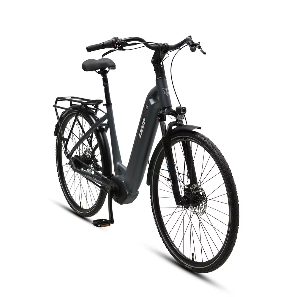 TXED New Innovative Alloy Frame 250W Electric City Bike — image 2