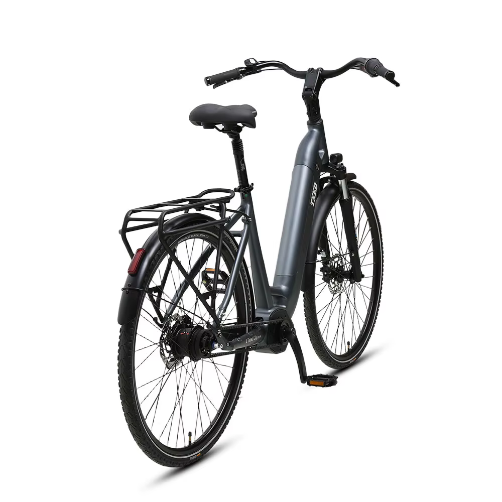 TXED New Innovative Alloy Frame 250W Electric City Bike — image 3
