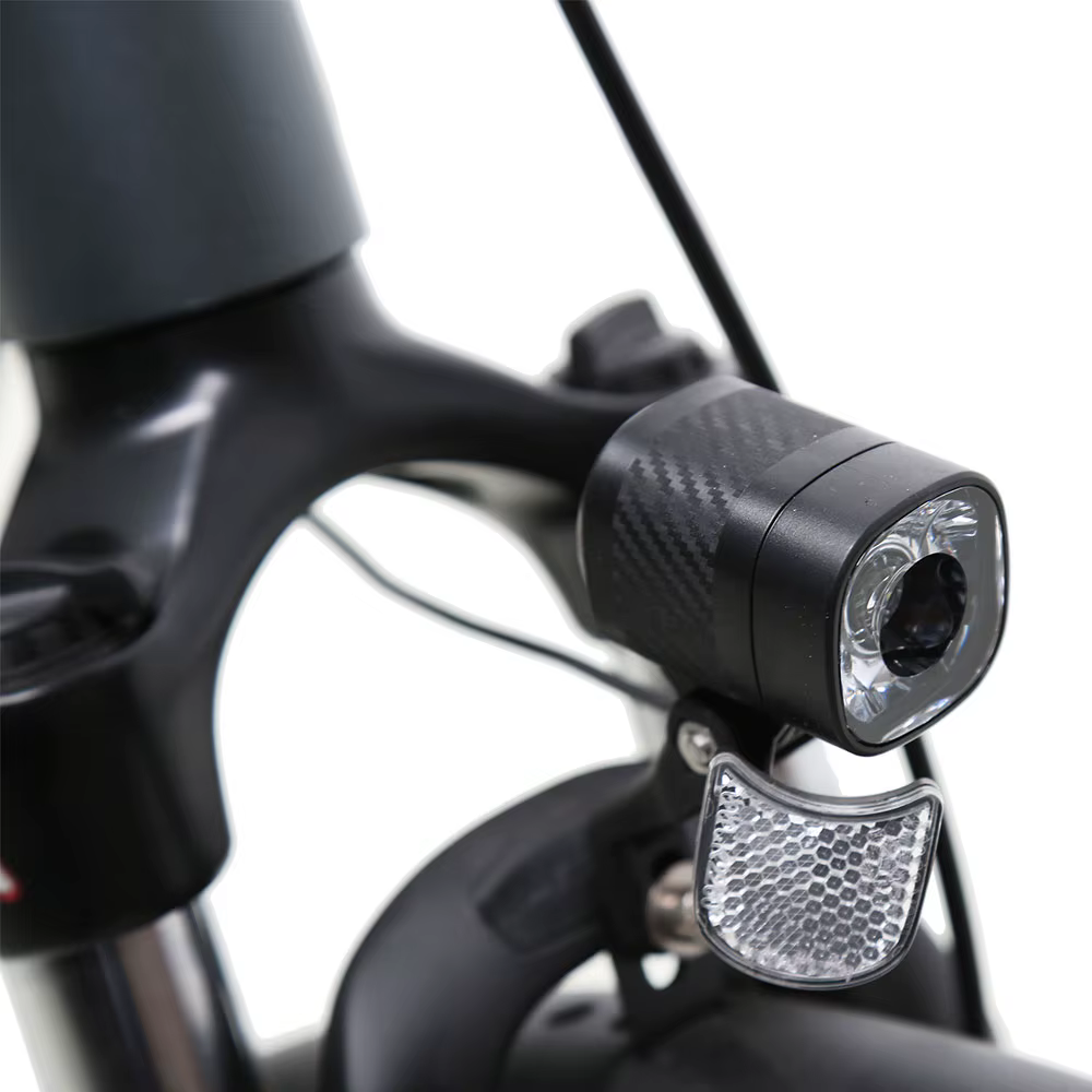 TXED New Innovative Alloy Frame 250W Electric City Bike — image 5