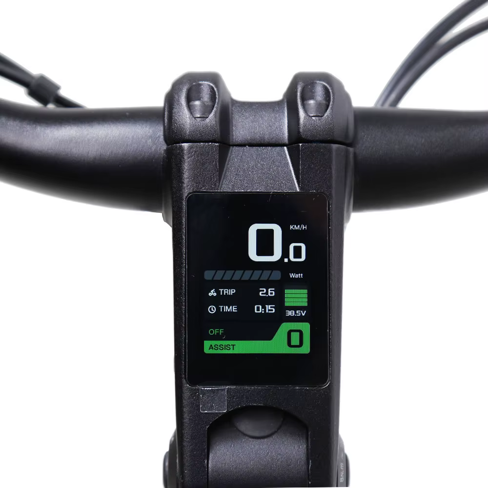 TXED New Innovative Alloy Frame 250W Electric City Bike — image 6