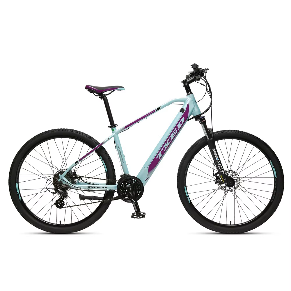 TXED Custom 29 Inch Mountain E-Bike — image 2