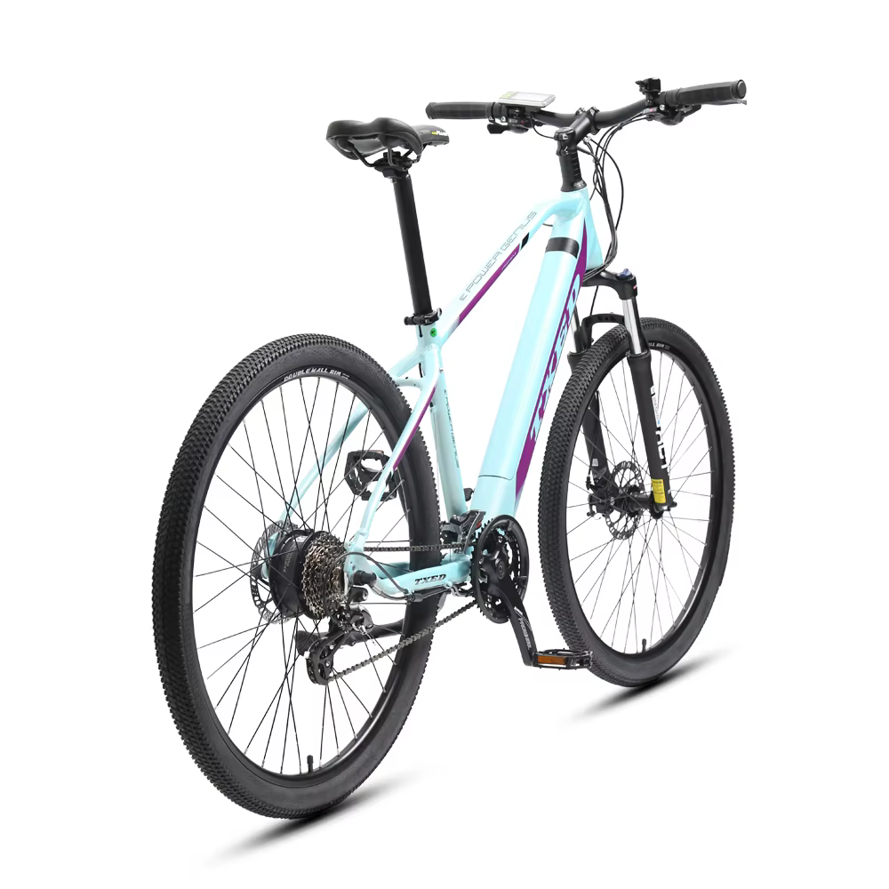 TXED Custom 29 Inch Mountain E-Bike — image 3