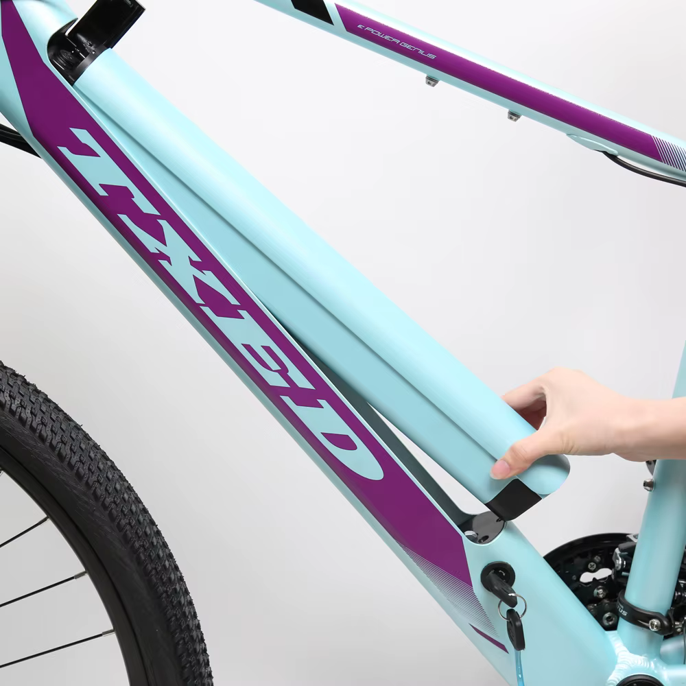 TXED Custom 29 Inch Mountain E-Bike — image 4