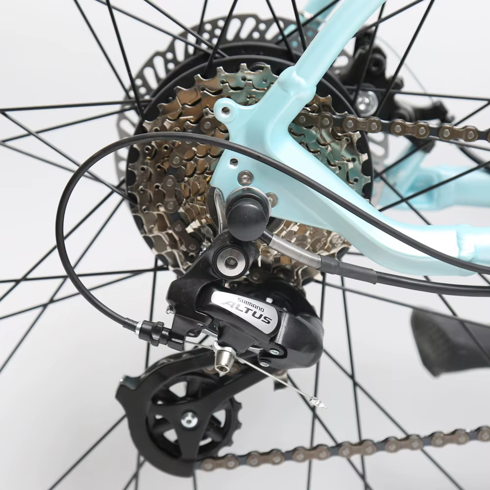 TXED Custom 29 Inch Mountain E-Bike — image 6