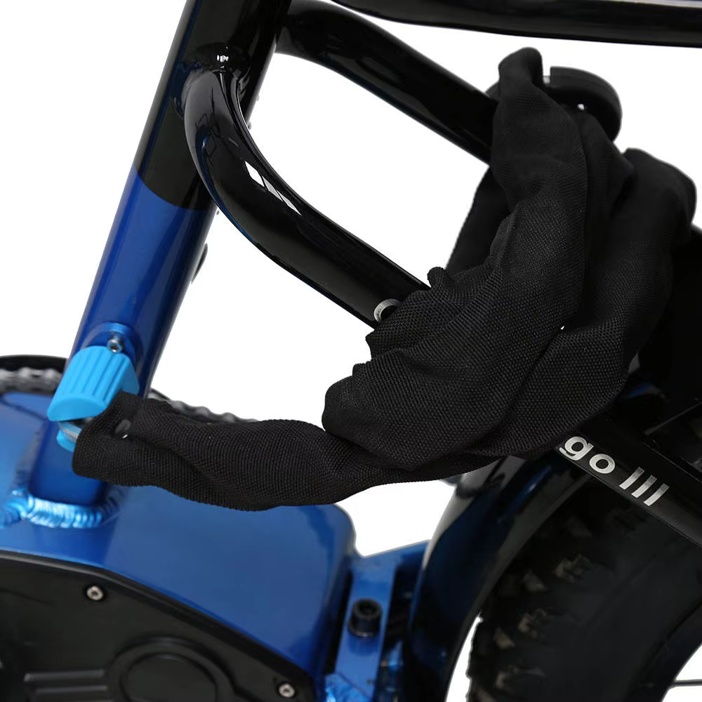 TXED Popular 48V/20AH Lithium Battery Electric Cargo Bike — image 4