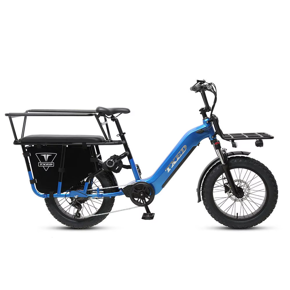 TXED Popular 48V/20AH Lithium Battery Electric Cargo Bike — image 5