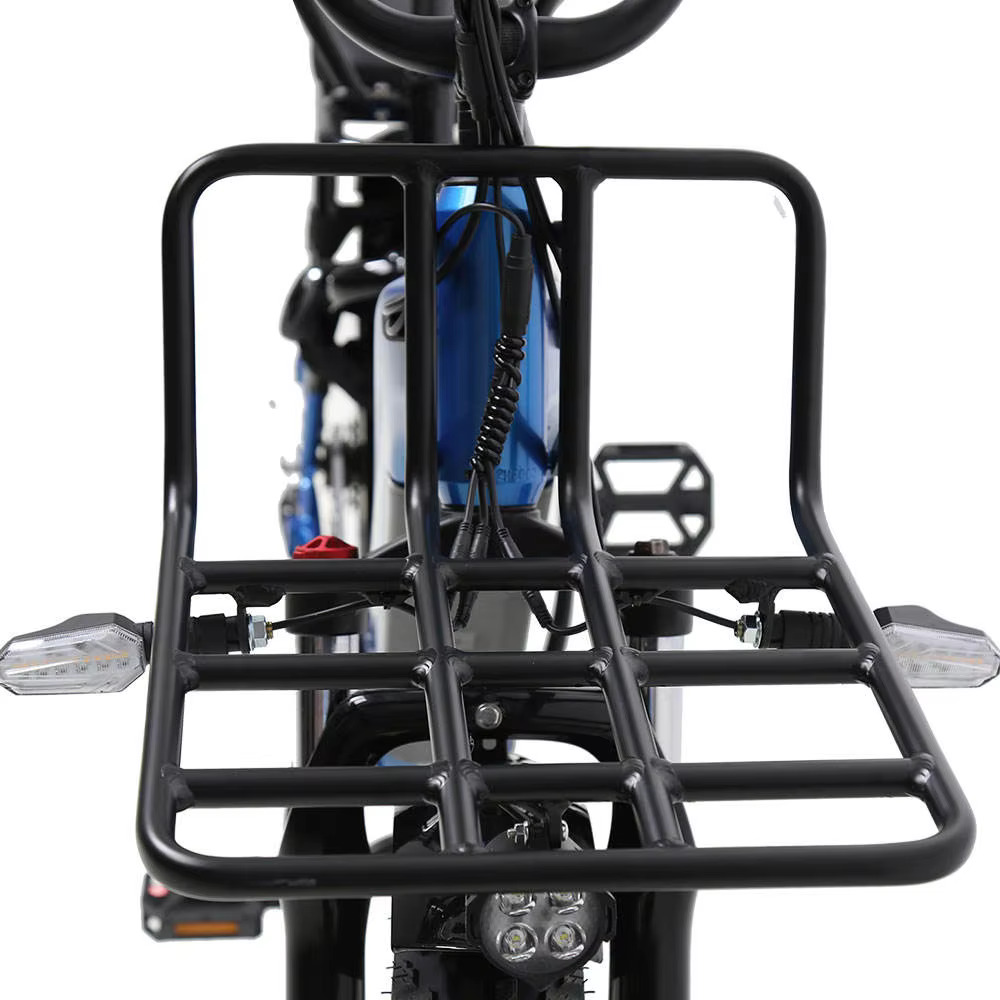 TXED Popular 48V/20AH Lithium Battery Electric Cargo Bike — image 6