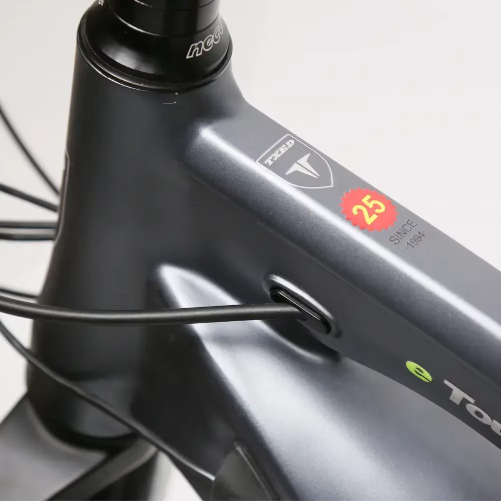 TXED Fat Tire 9 Speed Electric Mountain Bike — image 3