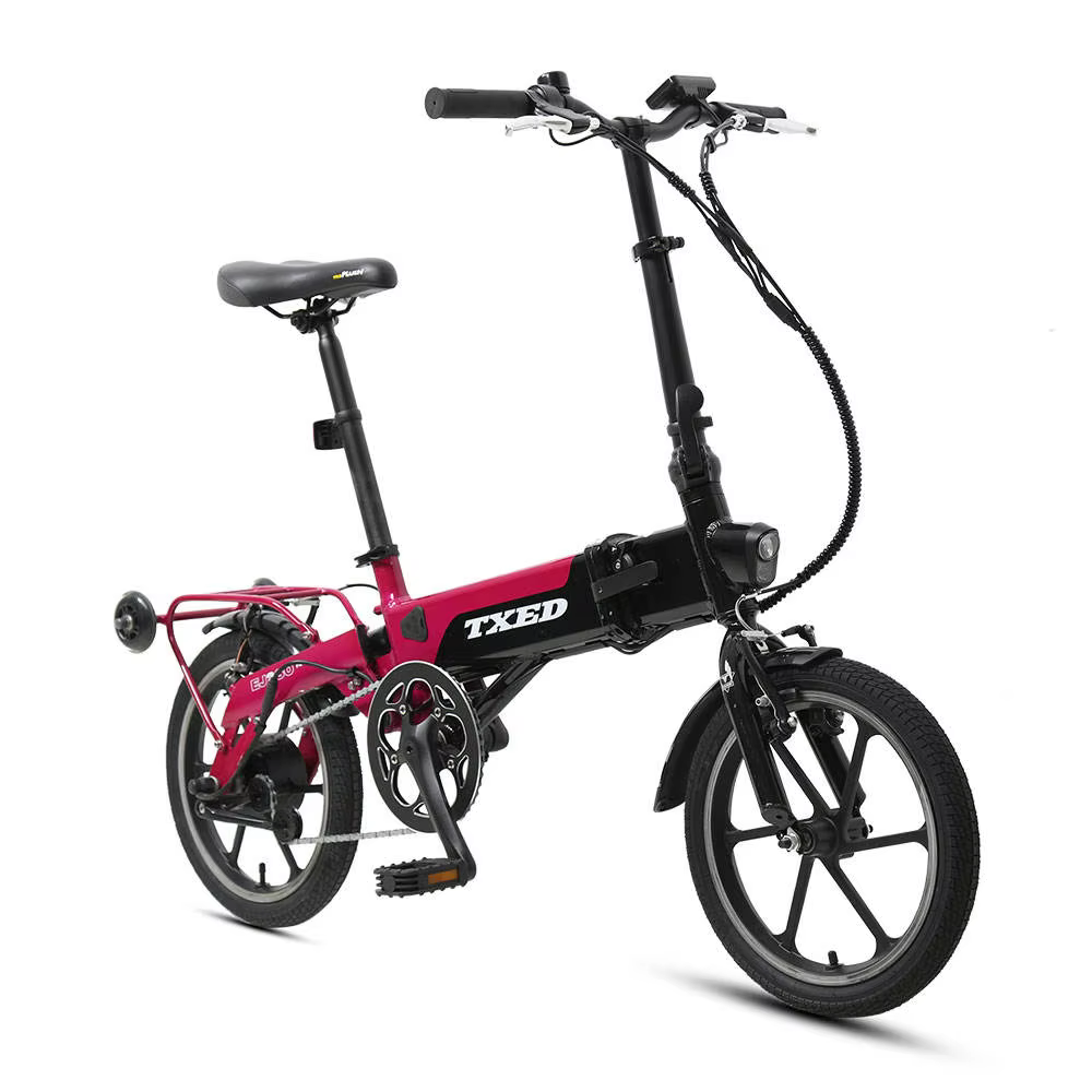 TXED 36V 250W Electric Folding Bike — image 2