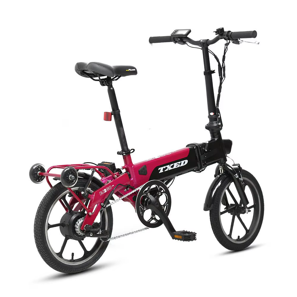 TXED 36V 250W Electric Folding Bike — image 3