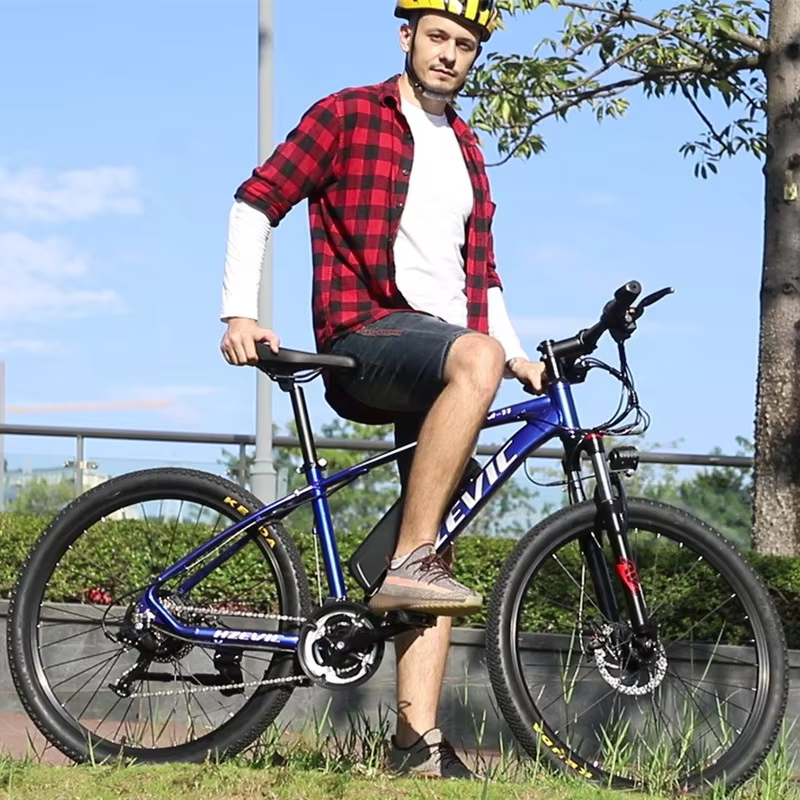 36V 10Ah 350W Electric Bicycle — image 2