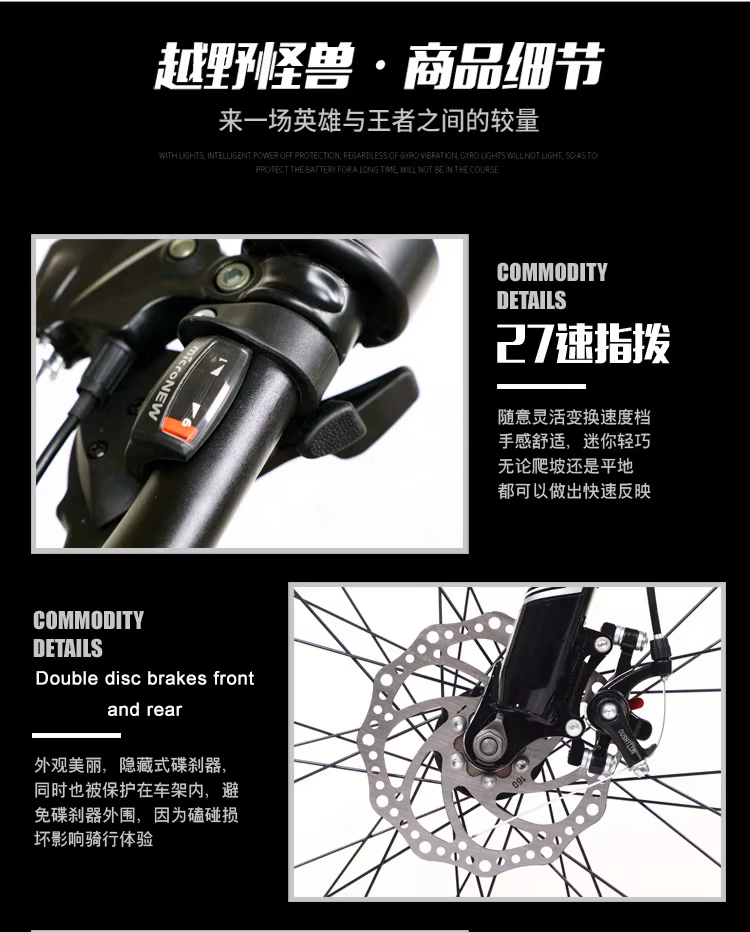 Electric Bike Bicycle — image 6
