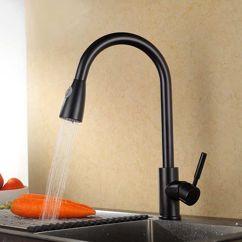 Economic Flexible Pull Out Kitchen Faucet — image 3