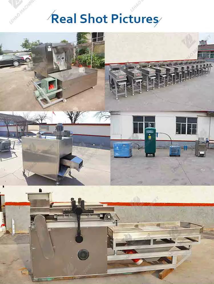 Professional Peanut Roasting Peeling Cutting Machine — image 6