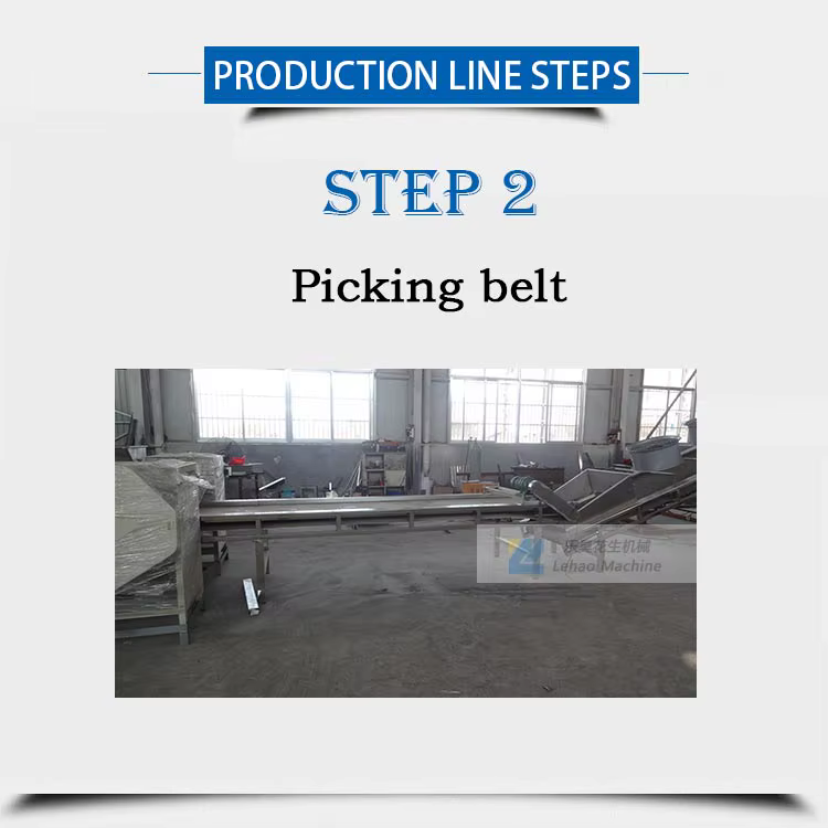 Electric Heating Nut Deep Fryer Production — image 3