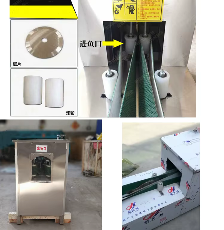 Electric Fish Belly Splitting Cutting Fish — image 4