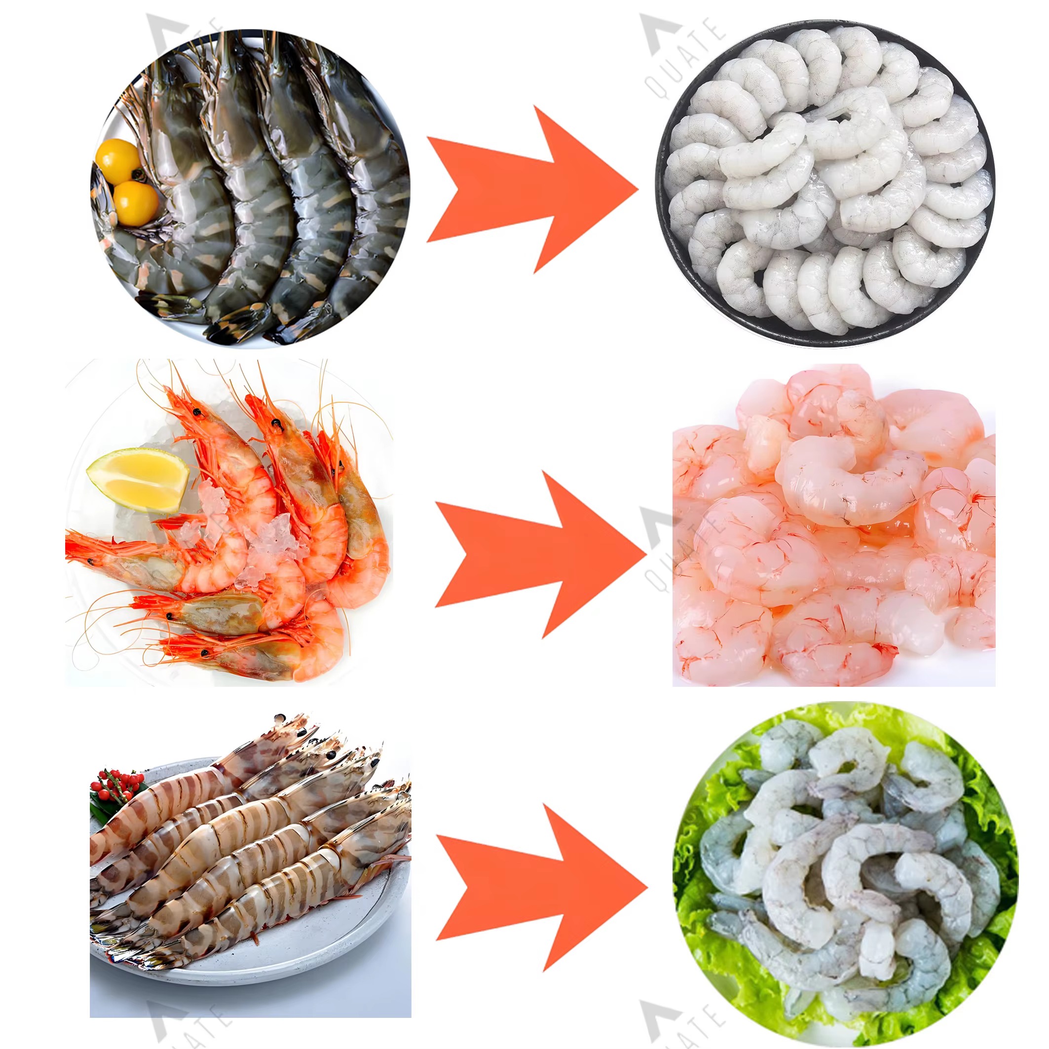 Hot Sale Shrimp Shell Skin Removing — image 5