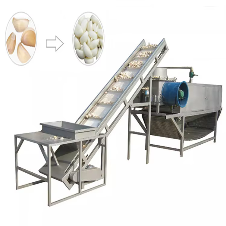 Garlic Clove Sorting Machine Garlic Clove — image 2
