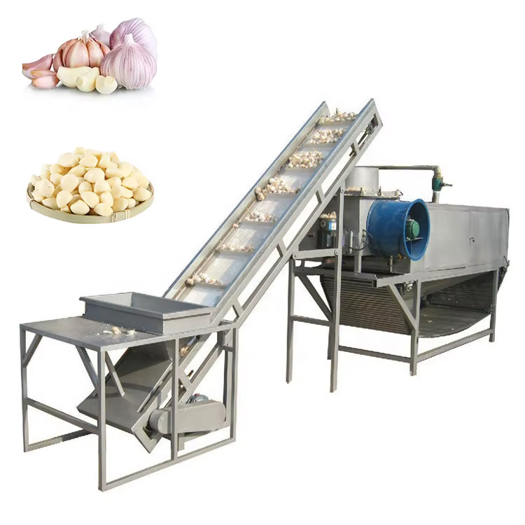Garlic Clove Sorting Machine Garlic Clove — image 3