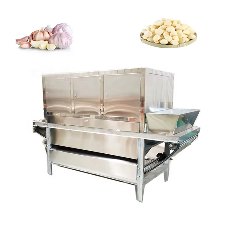 Garlic Clove Sorting Machine Garlic Clove — image 4