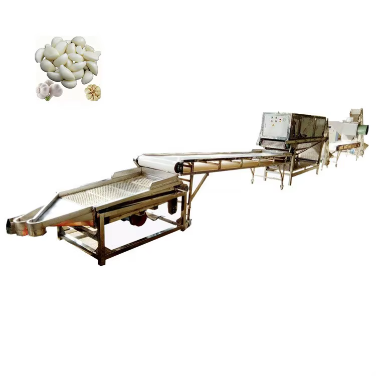 Garlic Clove Sorting Machine Garlic Clove — image 5