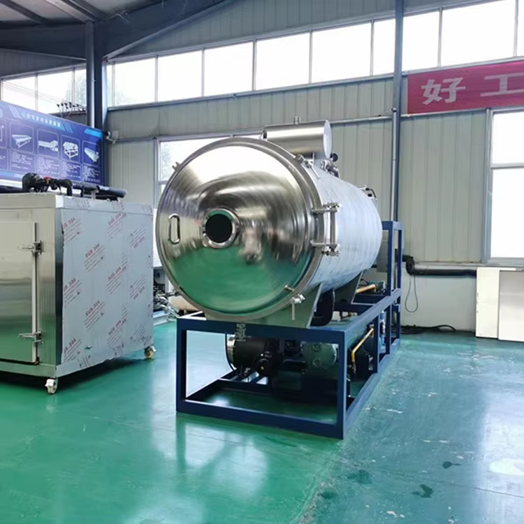Factory Small Fruit Vegetable Vacuum Lyophilizer — image 6