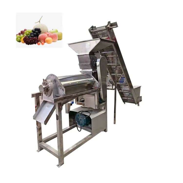 Commercial Juicer Fresh Mango Orange Apple — image 6