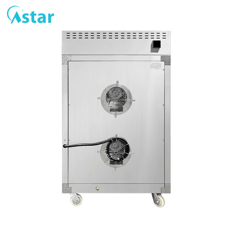 Industrial Hot Air Convection Oven 10 — image 4