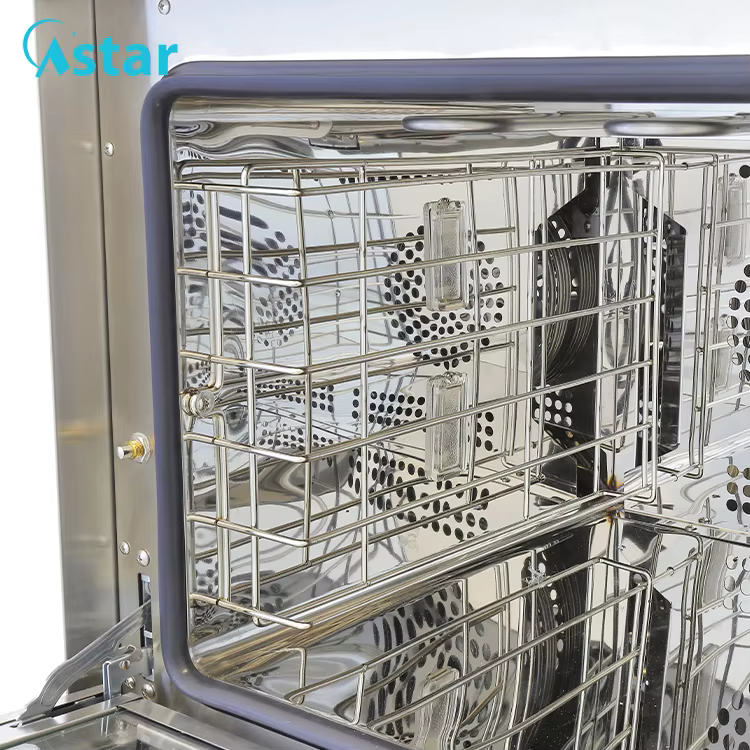 Electric Convection Oven For Croissant 6 — image 4