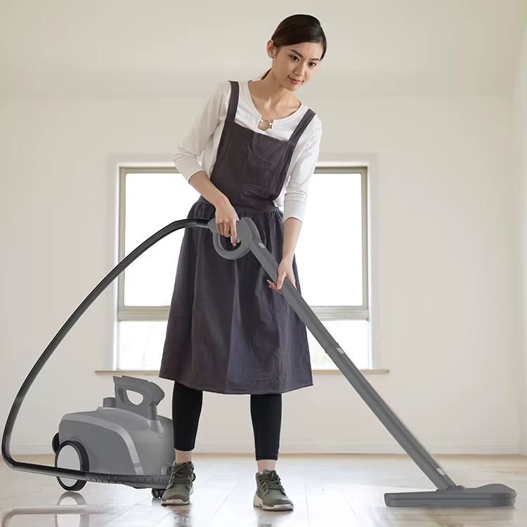 Multipurpose Household Steamer Cleaning Machine Car — image 2