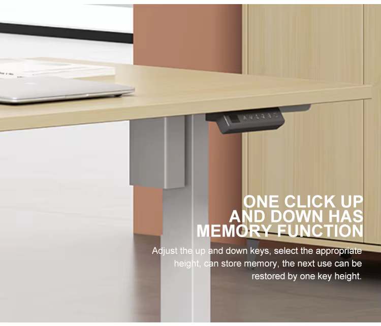 Electric Height Adjustable Computer Desk Lifting — image 4