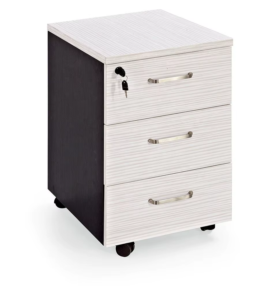 Customized Simple Design Movable Cabinet Document — image 2