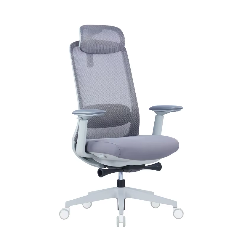 Office Chair With Adjustable Lumbar Support — image 2